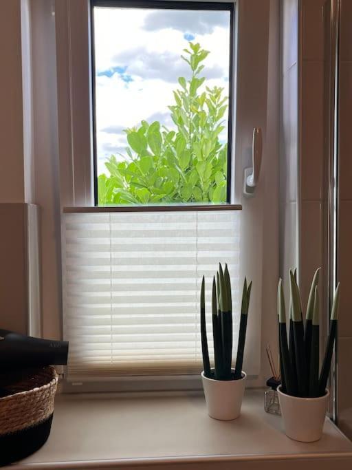 Appartement Buechensaal Mit Stellplatz Erlensee Kültér fotó